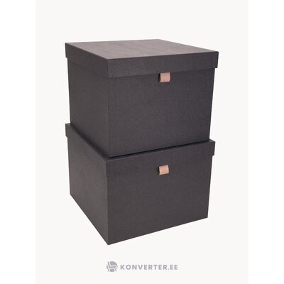 Hoiukast 2 TK Tristan (Bigso Box of)