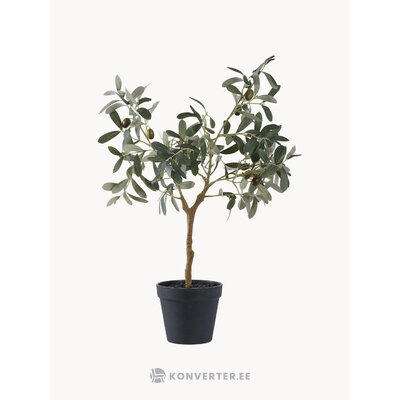 Kunsttaim Olive (House Nordic)