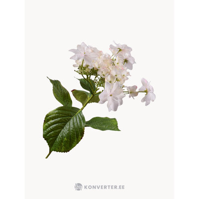 Kunstlill Hortensie (Silk-ka)