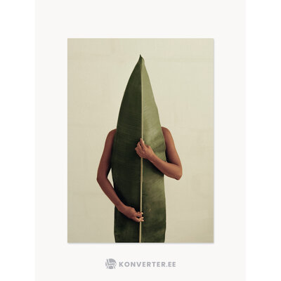 Seinätaulu Naturaleza 01 (Paper Collective)