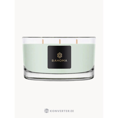 Tuoksukynttilä Primel, Amberholz (Bahoma London)