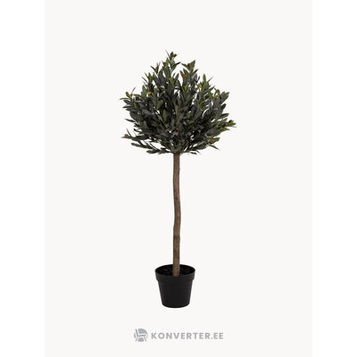 Artificial plant Olive (House Nordic)