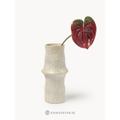 Tekokukka Anthurium (Botané)