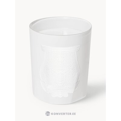 Ароматическая свеча Posita (Trudon)