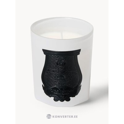 Tuoksukynttilä Ruusu (Trudon)