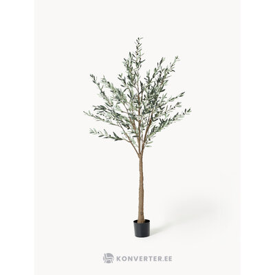 Kunstpuu Olive Tree (botané)