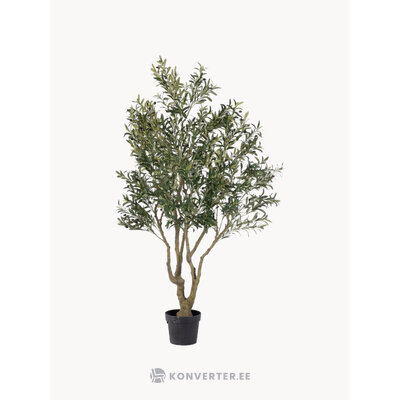 Artificial plant Olive (Bizzotto)