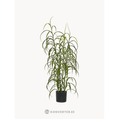 Tekokasvi Grass (House Nordic)