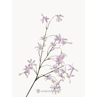 Tekokukat Orchid (Silk-ka)