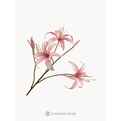 Tekokukat Lily (Silk-ka)