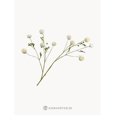 Tekokukat Ranunculus (Silk-ka)