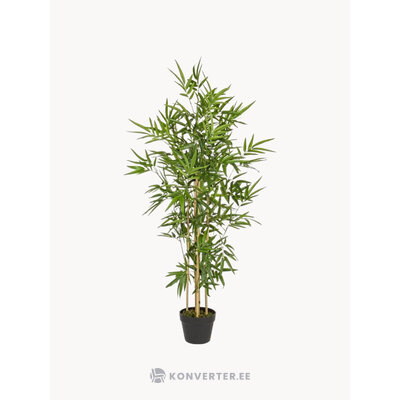 Kunsttaim Bamboo (Bizzotto)