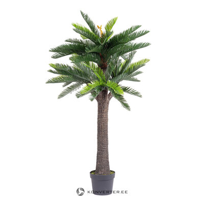 Artificial plant (Cycas) H190