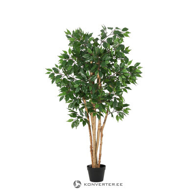 Artificial plant (Ficus) H145