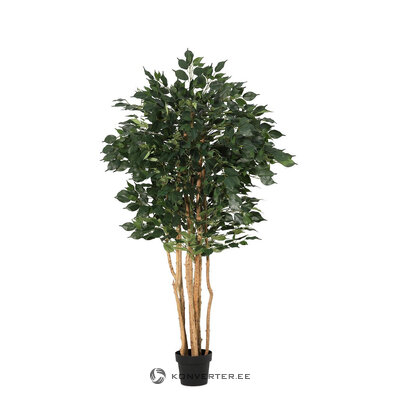 Artificial plant (Ficus) H175