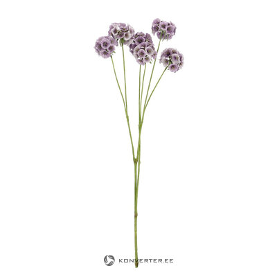 Dekoratiivoks (Hazely)