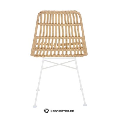 Pruun-Valge Aiatool (Costa)