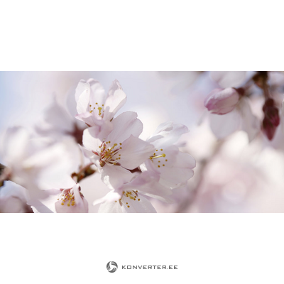 Картинка высокой вишни (malerifabrikken)