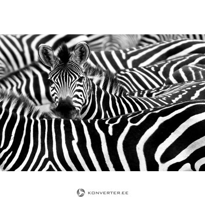 Glazūruoto plakato kontūras 2 (Malerifabrikken) 110x160