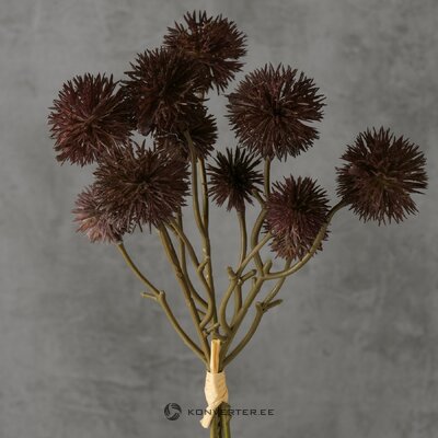 Decorative bunch of billy buttons (boltze)
