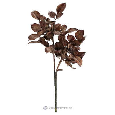 Dekoratīvs zariņš (Šelbija)