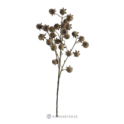 Dekoratīvs zars (darby)