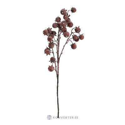 Dekoratīvs zars (darby)