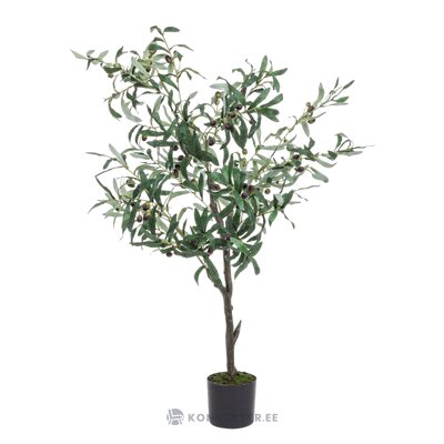Keinotekoinen kasvi (oliivit)