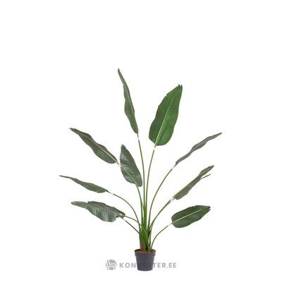 Keinotekoinen kasvi (strelitzia)