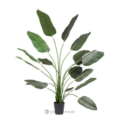 Keinotekoinen kasvi (strelitzia)