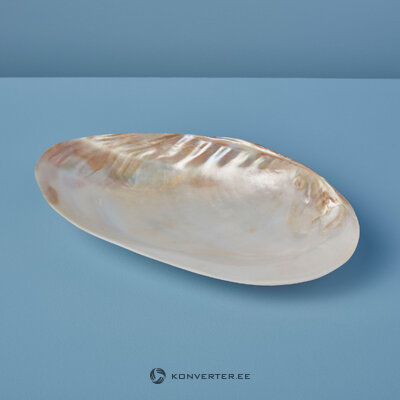 Karbikihist Serveerimisalus Seashell