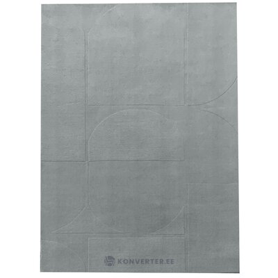 Vaip (Camino Gray) 200x300