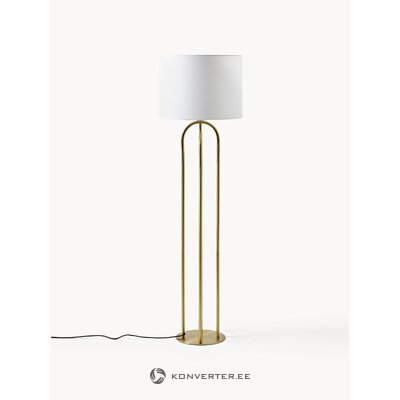 Gianni-lattiavalaisin