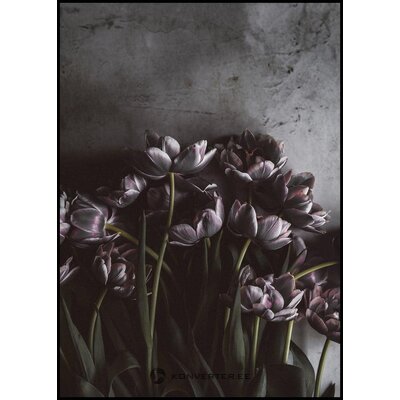 Musta Puitraamiga Seinapilt Dark Tulips 50x70 (Malerifabrikken)