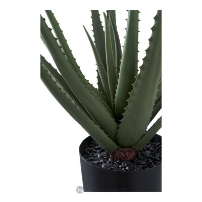 Keinotekoinen kasvi (aloe vera) ehjä