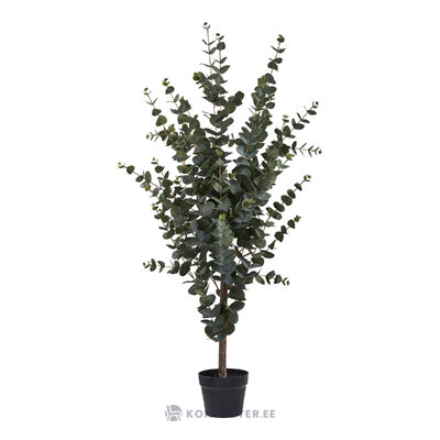 Kunsttaim Eucalyptus (House Nordic)