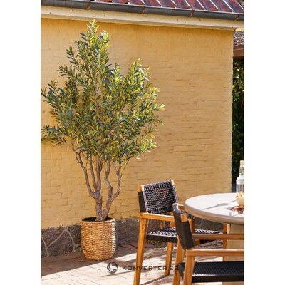 Art Olive Tree (House Nordic)