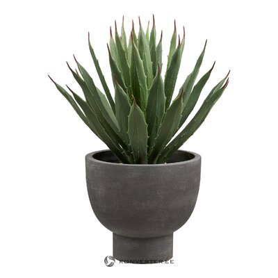 Art Agave Plant (House Nordic)
