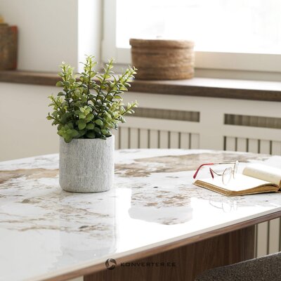 Artificial plant Succulent (House Nordic)