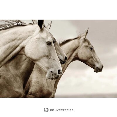 Glazūruoti plakatų arkliukai (Malerifabrikken) 100x150