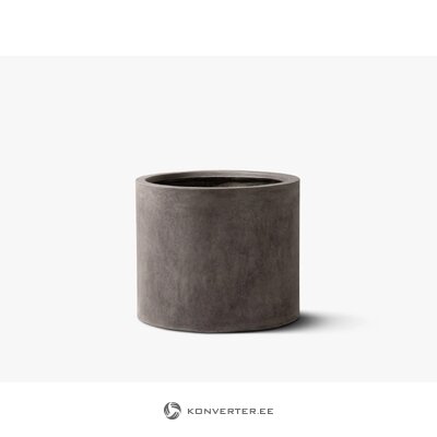 Puķupods halija (mikadoni)