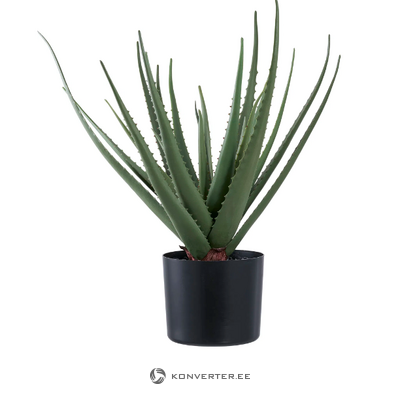 Keinotekoinen kasvi (aloe vera) ehjä