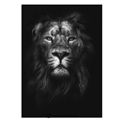 Seinapilt 50x70 (King Of Kings)