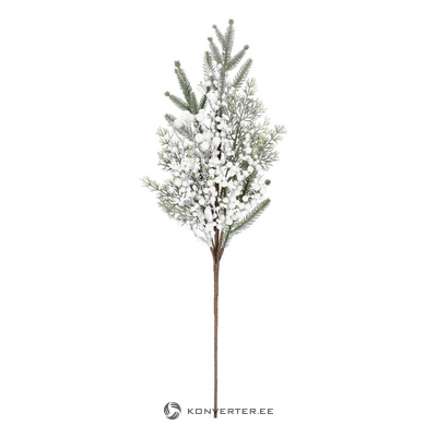 Valge okas/oks marjadega (Trixy)