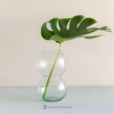 Vaas (bulb)