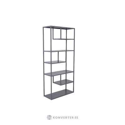 Shelf (steel)