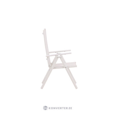 Valgomojo kėdė (pertrauka)