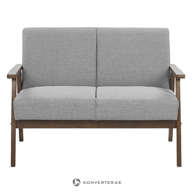 Gray 2-seater sofa (asnes)