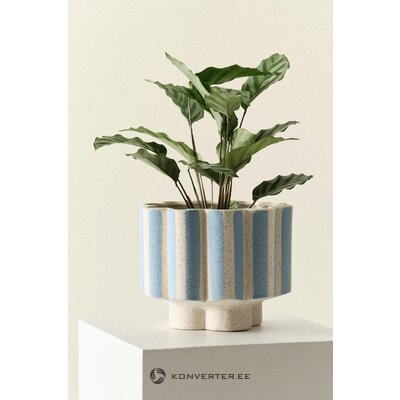 Цветочный горшок (Зигфрид)