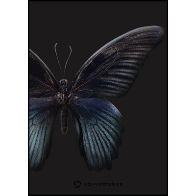 Seinäkuva mustalla kehyksellä musta perhonen (malerifabrikken)